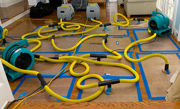 Professional Crawl Space Water Removal technician working in Bussey, IA